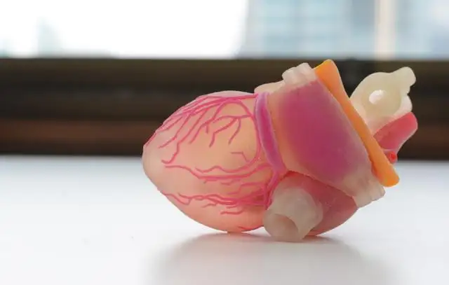 3D打印助力医疗教学 