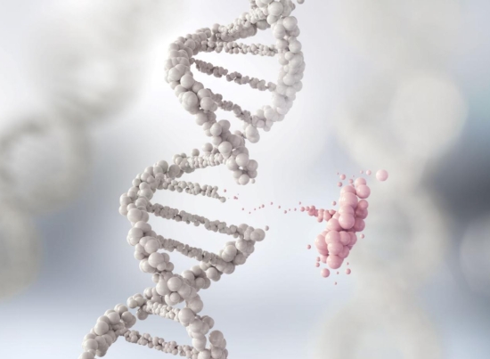 三迭纪与BioNTech达成合作 3D打印药物技术进军生物医药前沿领域